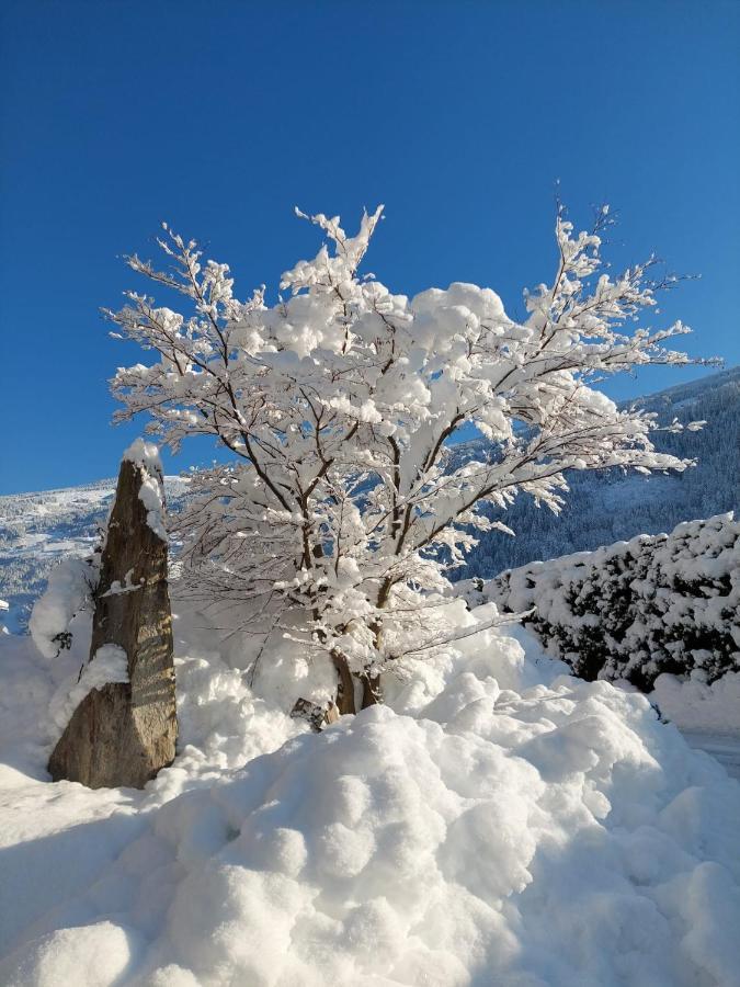 Apart Dahuam Aschau Im Zillertal Extérieur photo